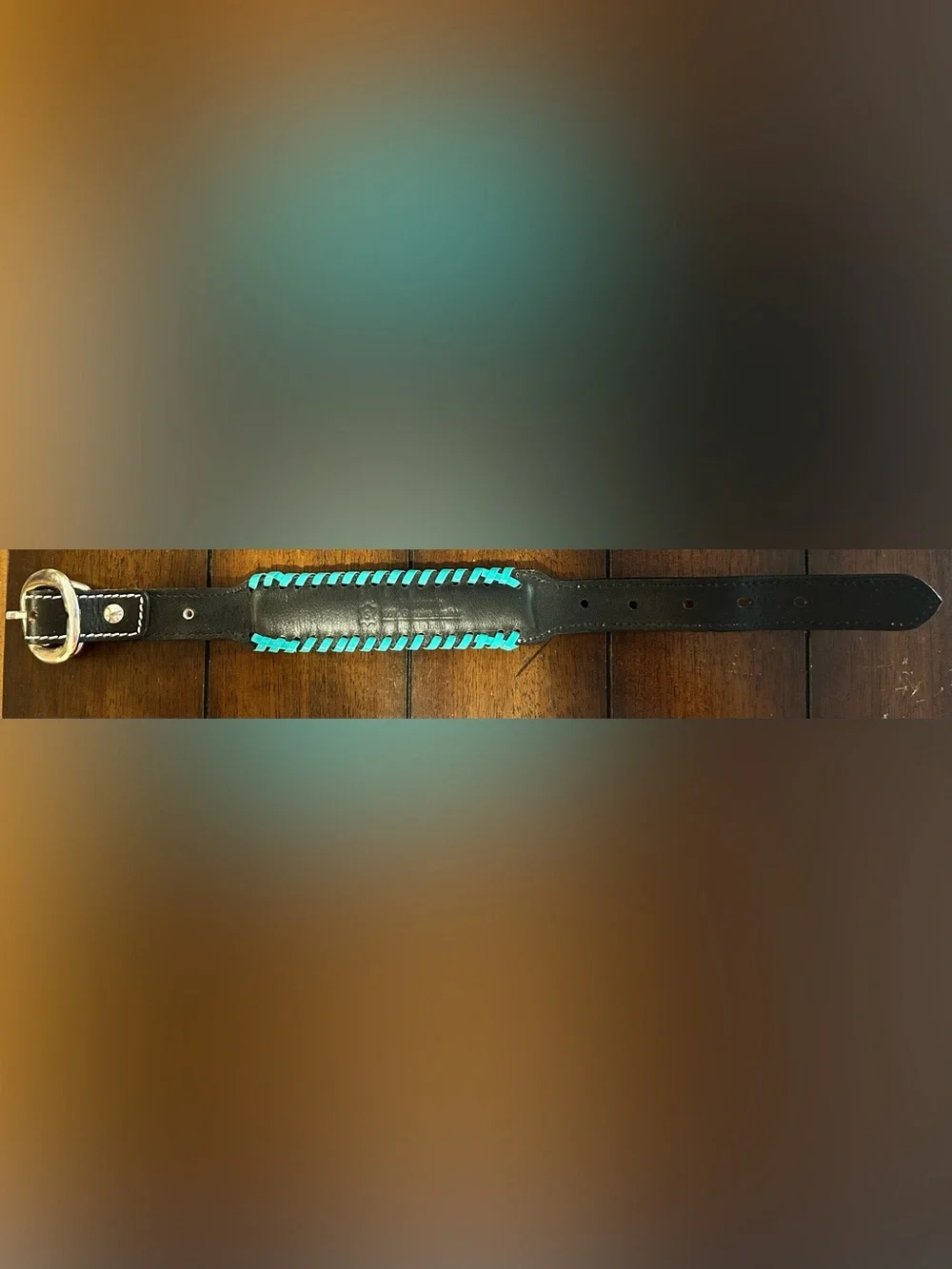 Tooled Genuine Leather Western Dog Collar w/ Turquoise and Red Accents-SMALL